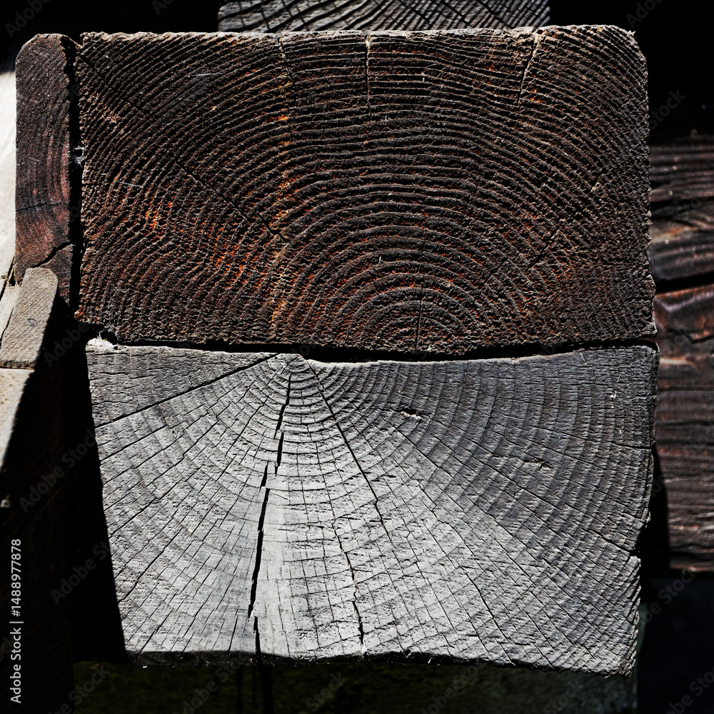 Fototapeta premium drewno