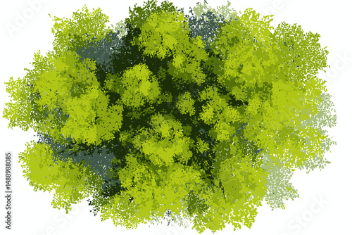 Abstract Watercolor Tree Top View Vector Isolated for Landscape Plan Architecture Garden Environment Elements Blossom Grass Flower Blooming