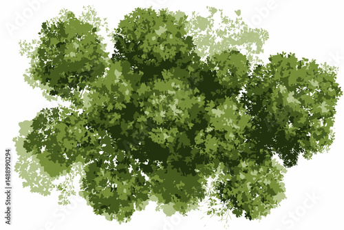 Watercolor Tree Top View Vector Isolated for Landscape Plan Architecture Layout Garden Environment Green Grass Elements