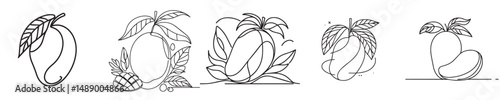 mango fruit vector continuous line style