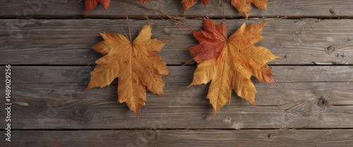 Close-up of autumn maple leaves on weathered wood planks , nature, brown leaves
