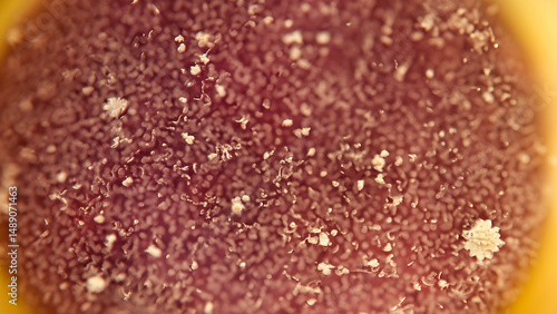Close-up view of a textured surface with speckles