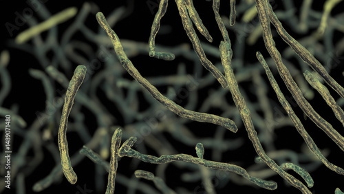 Microscopic view of bacteria.  A close-up of various shapes and sizes of bacteria in motion