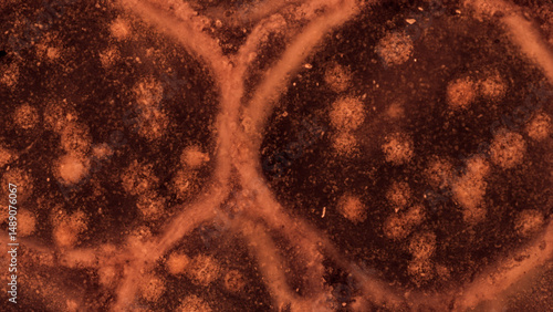 Close-up view of intricate, reddish-brown cellular structure