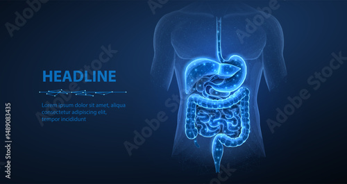 Abstract wireframe intestinal human digestive system. Gut health, bowel disease, gastrointestinal tract.