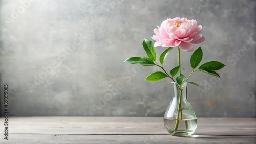 Wallpaper Mural A single pale pink peony blossom in a clear glass vase sits on a rustic wooden surface against a textured gray backdrop, a minimalist floral arrangement. Torontodigital.ca