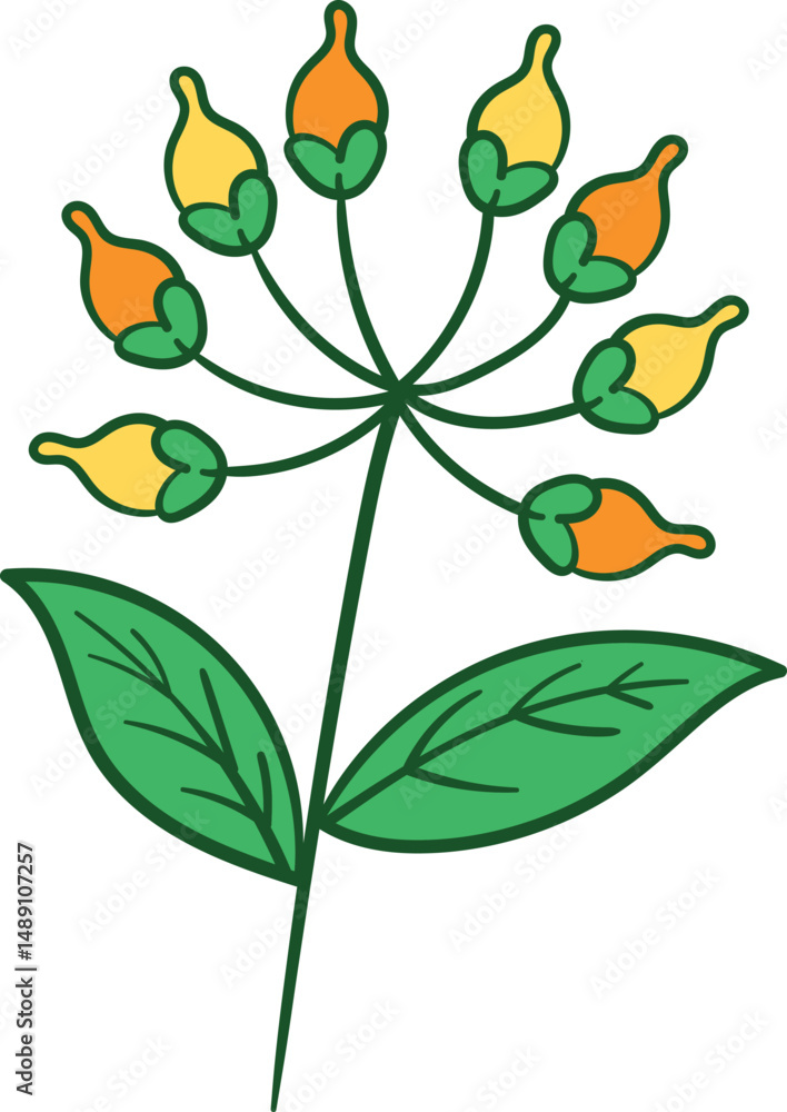 Obraz premium Flower buds with green leaves and stem illustration