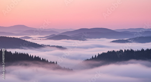 Wallpaper Mural Tranquil Morning Fog in Wild Forested Mountains
 Torontodigital.ca