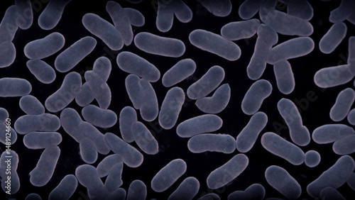 Microscopic view of rod-shaped bacteria (5)
