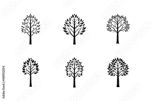 birch silhouette vector illustration