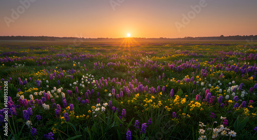 Wallpaper Mural Colorful wildflower field at sunrise landscape scenery natural environment Torontodigital.ca