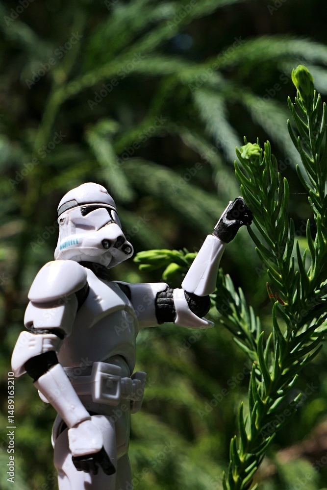 Naklejka premium GI JOE action figure of Clone trooper examining fresh spring branch tip of coniferous tree called Japanese Cedar or Japanese Redwood or Sugi, latin name Cryptomeria Japonica.