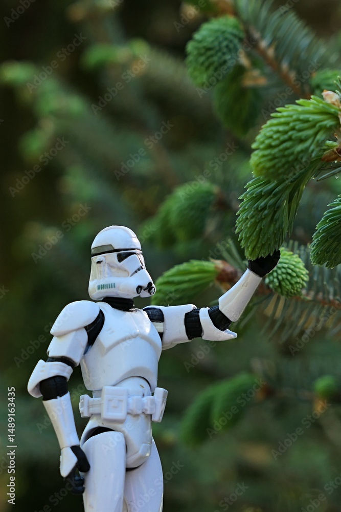 Naklejka premium Star Wars action figure of Clone Trooper in white helmet and armor touching fresh spring needles of sprucew tree, possibly Picea Bicolor (Picea alcoquiana).