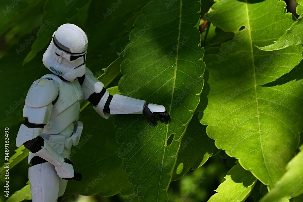 Fototapeta premium Star Wars action figure of Clone trooper touching large leaf of Japanese Elm, also called keyaki or keaki, latin name Zelkova Serrata, partially sunlit by spring daylight sunshine.