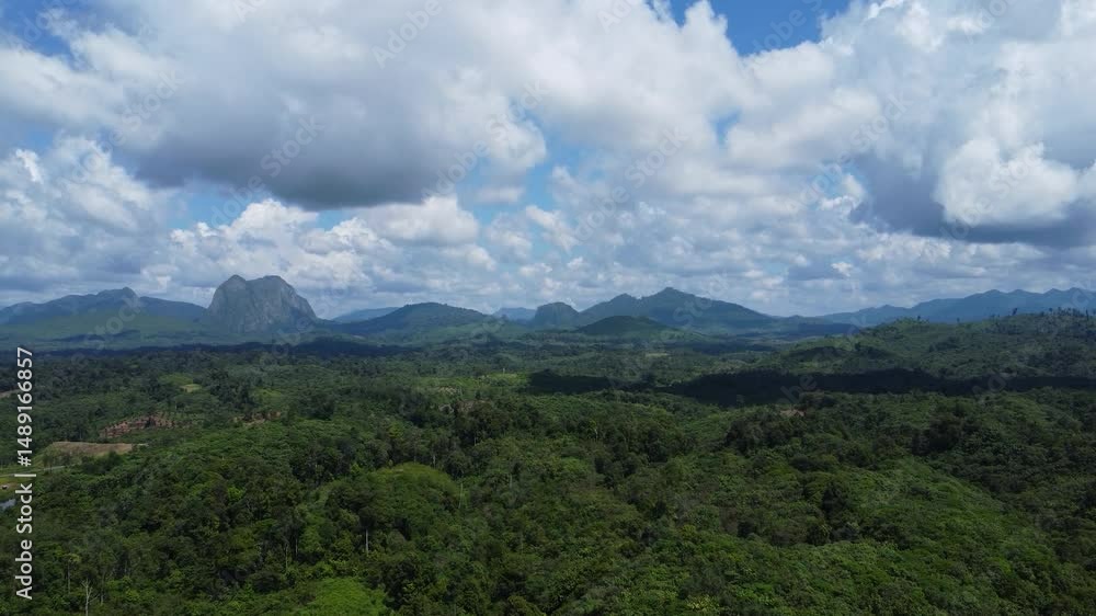 Aerial view of mountains surrounded by dense trees and covered in thick clouds Aerial view of mountains surrounded by dense trees and covered in thick clouds