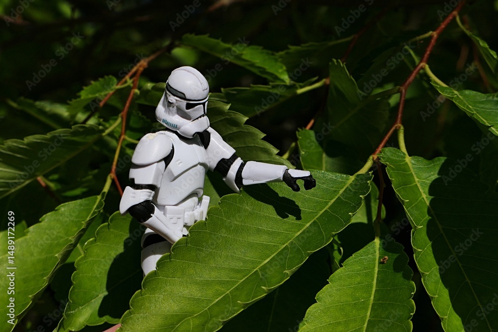 Fototapeta premium Star Wars action figure of Clone trooper examining green leaf of Japanese Zelkova tree, also known as Japanese Elm, Keyaki or Keaki, latin name Zelkova Serrata, sunlit by spring daylight sunshine.