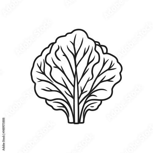 Minimalist line drawing highlights the fresh bok choy vegetable with detailed leaves, isolated on a white backdrop