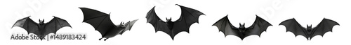 Five Different Bat Wings Displayed in Varying Angles and Poses, Isolated on Transparent, white background