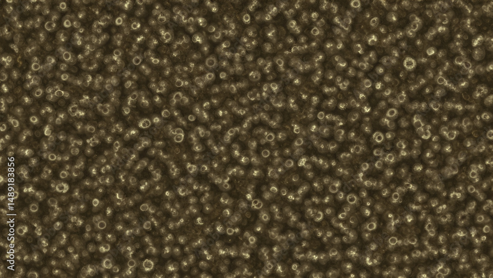 Fototapeta premium Abstract pattern of light brown circles and lines