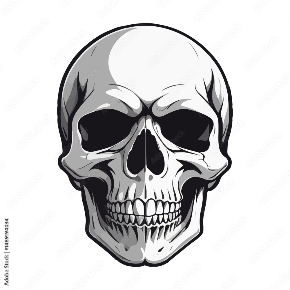Fototapeta premium A head skull vector