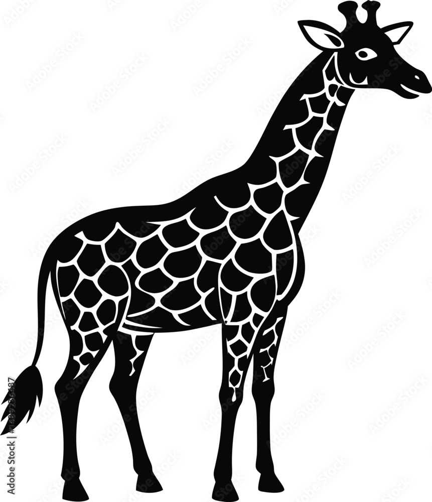 Naklejka premium This is a vector illustration of a tall, spotted giraffe, a wild mammal with a long neck, standing isolated on a white background, often associated with safari and zoo wildlife
