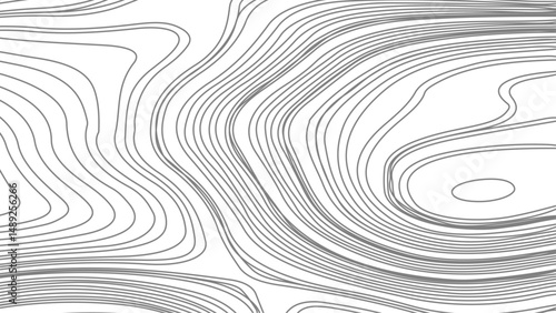 Topographic contour map. Vector cartography illustration. Business concept. Fish Fillet Texture, Salmon fillet texture, fish pattern. paper texture