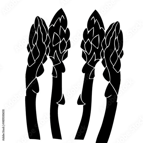 fresh  asparagus vector black silhouette illustration isolated on white background.eps