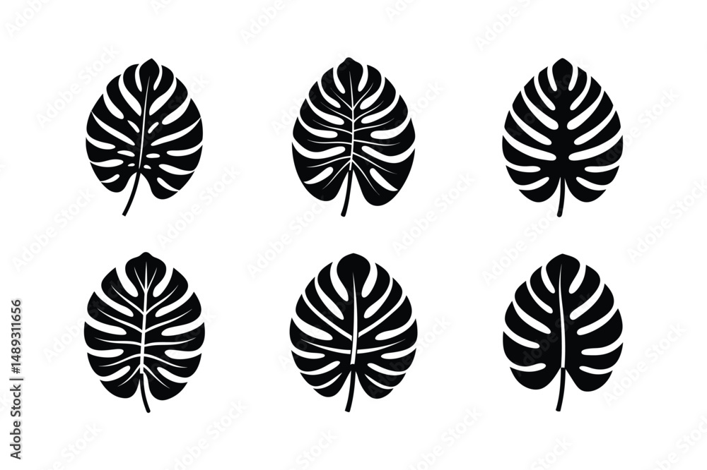 Fototapeta premium classic monstera leaf nature icon