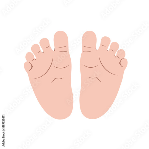 Newborn feet closeup illustration on a white background  