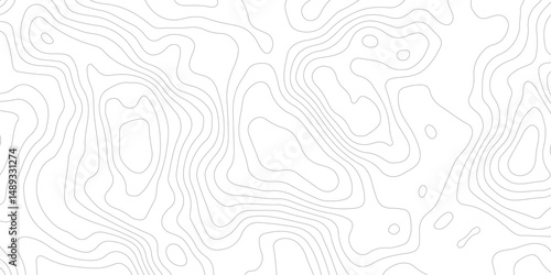 modern topographic  abstract white surface with  gray wave lines forming organic shapes, creating a minimalist and modern textured whit background design.