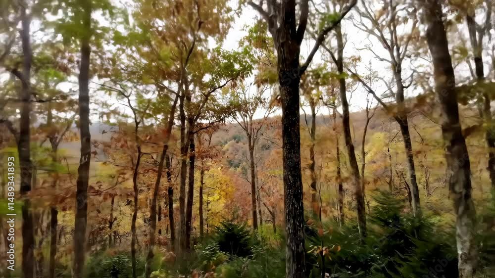 Autumnal Forest Vibrant Hues and Tranquil Woodscapes Autumnal Forest Vibrant Hues and Tranquil Woodscapes