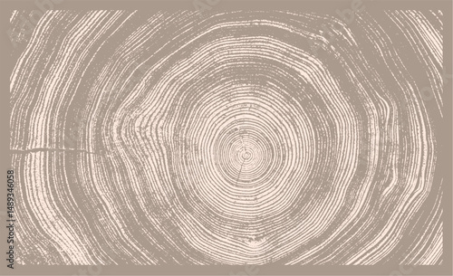 Monotone pink tan and nude botanical tree rings of end grain of wood slab. Growth rings art with texture and cracked surface.