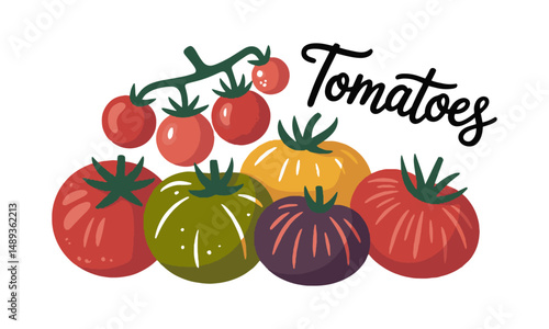 Modern vector illustration of various heirloom tomatoes in different shapes,, easily scalable and editable.
