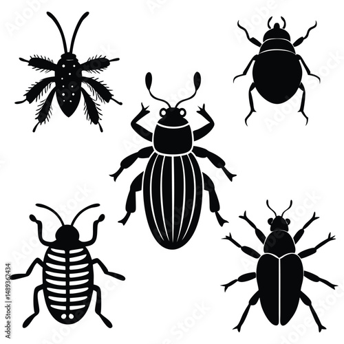 different bugs set insects summer species color