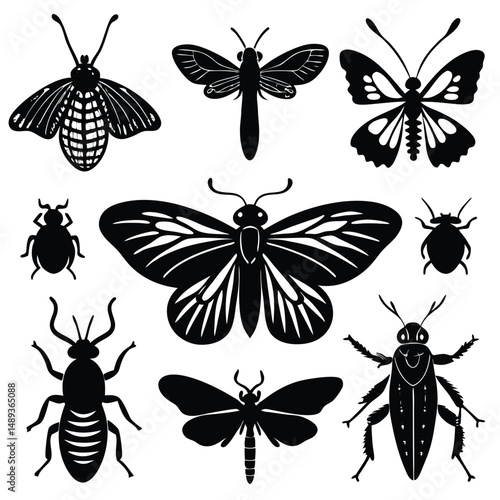 hand sketched insects collection hand drawn beetl