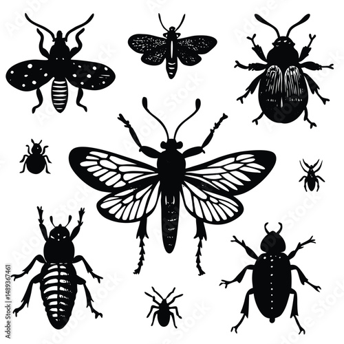 insects collection vintage illustration from bro