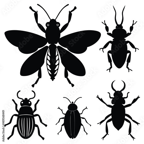 set of insects