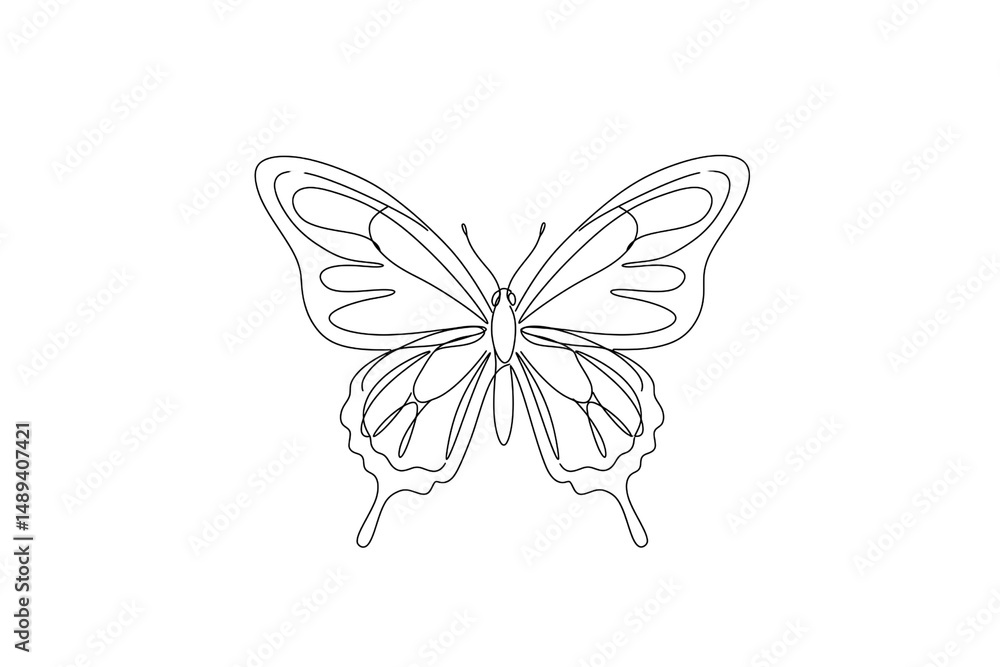 Symmetrical butterfly line drawing from top view isolated on transparent background Symmetrical butterfly line drawing from top view isolated on transparent background