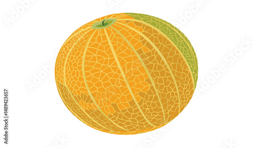 Isolated Cantaloupe Melon with Textured Skin, Round Shape, and Green Stem on White Background