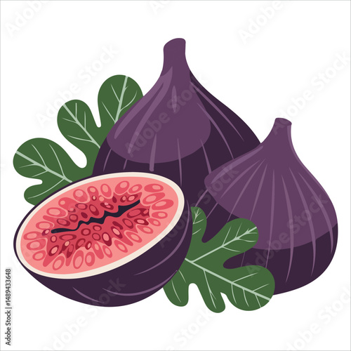 Whole fresh fig fruit isolated vector illustration on white background