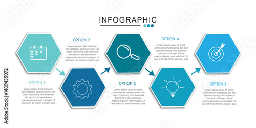 vector illustration design template whit 5 option or steps