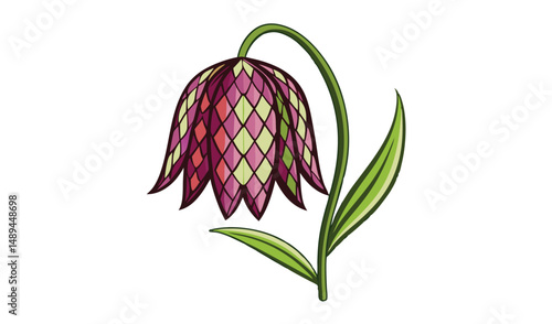 Illustration of a Fritillaria Flower with Maroon Petals and Green Stem, Isolated on White