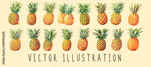 Juicy pineapple with green leaves illustration set collections. exotic tropical fruit vector illustrations