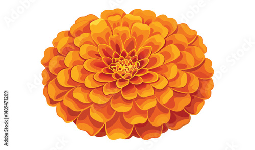 Illustration of a Detailed, Round, Vibrant Orange Marigold Flower on a White Background