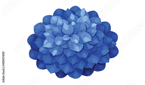 Isolated Deep Blue Echeveria Succulent Plant with Detailed Leaf Texture on White
