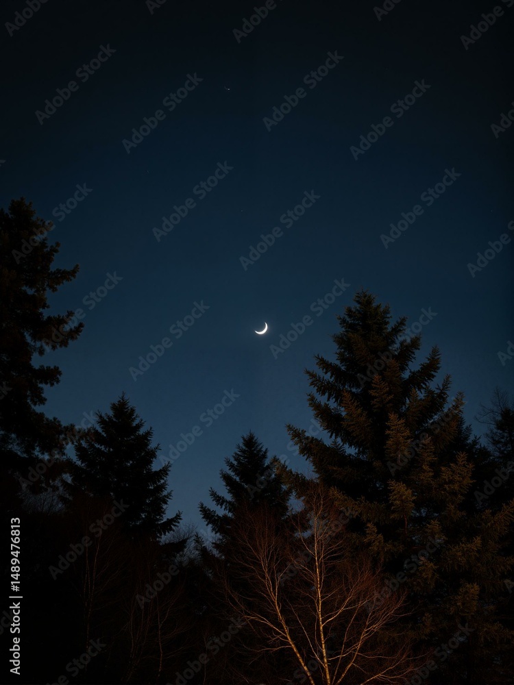 Fototapeta premium A crescent moon in night sky.