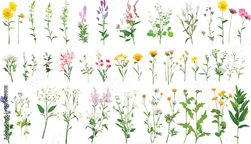 Watercolor floral collection with bouquet and spring vibe. Romantic flowers for wedding and poster art. Great for textiles, templates, and decoration needs.