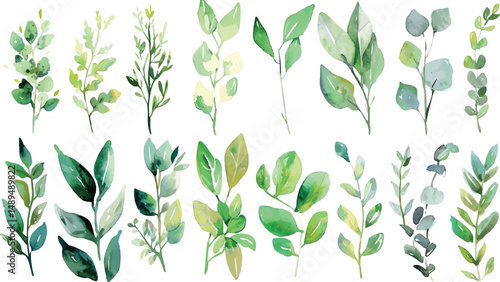 Floral watercolor collection with artistic charm. Use for romantic designs and wedding themes. Great for textiles, fabric, and greeting templates.