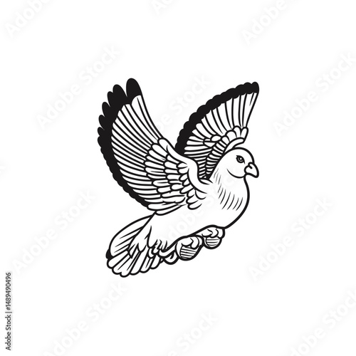 Flying pigeon sketch spreading wings white background vector