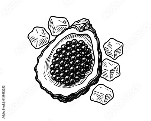Detailed ink drawing of oyster with caviar on ice cubes art.